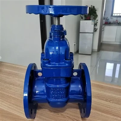 rising-stem-gate-valve070890f4-cb95-4390-9457-15f6cdd26ffb.jpg